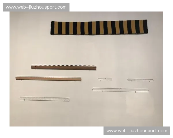 苍穹之眼vs.幽林魅影:一场跨越维度的精彩较量